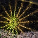 터무니하우스 이미지