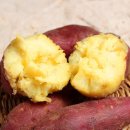 포근포근 이미지