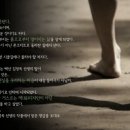 에코문화연구소 이미지
