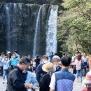 천지연노래연습장 이미지