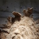 아라리오 뮤지엄 탑동 시네마 이미지