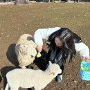 동혁목장 이미지