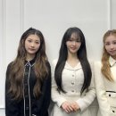 엔브이 이미지