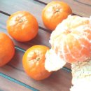 동환농장 이미지