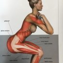 더숲필라테스 이미지