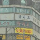 비올라의원