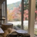 호기랩(Hogi Lab) | 251124 교토 여행 둘째날 1