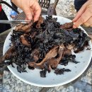 왕피리들꽃하우스 이미지