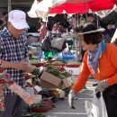 남광주해뜨는시장 | 극한직업 남광주해뜨는시장 새벽시장 도깨비시장 반찬가게 어디