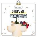 행복누리 | 화분 추천 좁은 공간에도 활용도좋은 아띠누리 다육이 화분 사용 후기