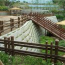 광명푸른숲어린이집 이미지