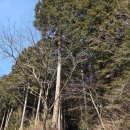 남망산 디지털파크 | 통영 거제 여행 후기 | 케이블카부터 미륵산 정상, 루지까지 알차게 즐긴 2박 3일