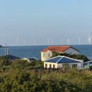 탱크카페 | 제주 애견동반 카페 금능 공탱크 내돈내산 후기