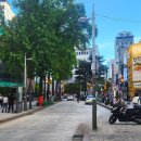 삼성당약국 이미지