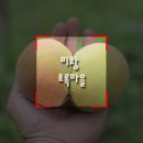 초록마을김천