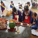 천왕메기 이미지