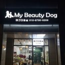마이 뷰티 독 이미지
