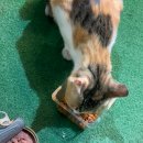 데스커 워케이션 가든 이미지