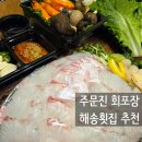 해송 | 강릉 주문진 회포장 주문진맛집 해송횟집 광어 참돔 후기