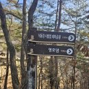 낙동강원시비경탐방로 | 걷기 33 (with 은주씨) 낙동강 시발점 테마공원에서 멀골솔밭까지 (12.5킬로, 낙동강 원시비경 탐방로)