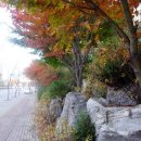 성원쌍떼빌아파트 이미지