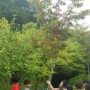 팔룡초등학교 이미지