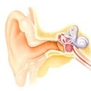 소리샘보청기 이미지