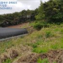 남구-129 이미지