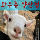 와우쥬 양산점 이미지