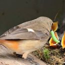 지종농장 이미지