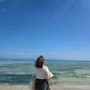 성산약수 | [2025 제주도 여행②] 함덕해수욕장부터 휴애리까지(feat. 동부버스투어)