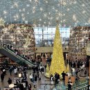 영동도서관 | 하루 종일 놀 수 있는 코엑스몰 별마당도서관 주차 할인 및 꿀팁 주말 방문 후기