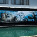 마린블루 | 길리 다이빙 추천 | 블루 마린 다이브(Blue Marlin Dive) 오픈워터 후기