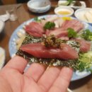 김용희참치