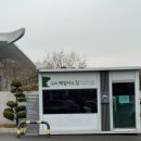 홍곡로 320번길 | (부산/남구) 부산여행코스 유엔평화기념관 관람 및 봄나들이 명소 방문후기