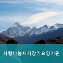 나눔재가장기요양기관 이미지