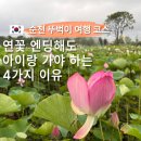 인형천국 오천점 | 순천 오천그린광장, 연꽃 엔딩이어도 아이랑 가야 할 4가지 이유