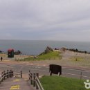 간절곶사슴농장 이미지