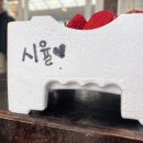 세진농장 | [망고한육아] 20개월 아기랑 첫 딸기체험농장