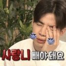 용마초등학교 놀이터 | 330개월의 사랑니발치후기/매복사랑니/사랑니발치후식단/죽을준비해/존나마니준비해