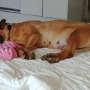 세실농장 이미지