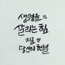 [헌혈후기] 서울중앙혈액원 헌혈의집 대화역센터 254번째 헌혈이야기_147곳 헌혈 전국투어