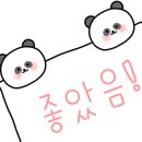 오세스튜디오 이미지