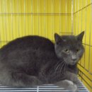 금정동주민센터 이미지