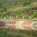 뿌리공원 이미지