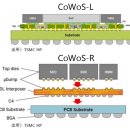 티에스엠씨 이미지