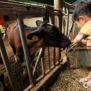 연천목장 이미지