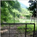 금어로1 이미지