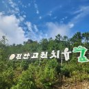 진안고원 엉겅퀴 | 2025년 6월 한국액션러닝 호남지회 하계포럼