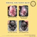 해온동물의료센터 이미지